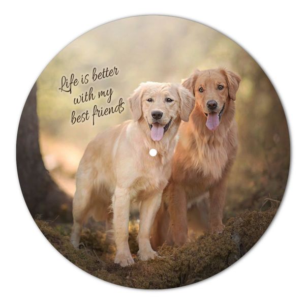 Vinyl Record Decor Golden Retriever 12" UF-Decor-Golden Retriever-1 photo