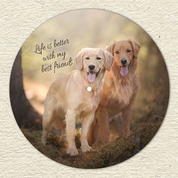 Vinyl Record Decor Golden Retriever 12" UF-Decor-Golden Retriever-1 photo