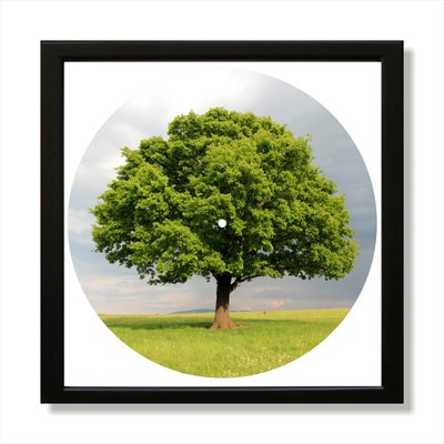 Vinyl Record Decor in a Wooden Frame Tree 14" UF-Frame-Tree-1 photo