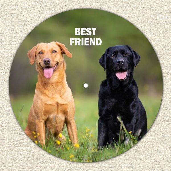 Vinyl Record Decor Labrador 12" UF-Decor-Labrador-1 photo