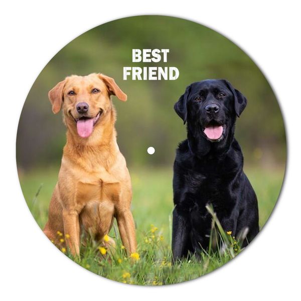 Vinyl Record Decor Labrador 12" UF-Decor-Labrador-1 photo