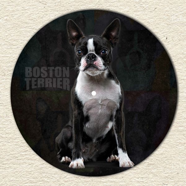 Vinyl Record Decor Boston Terrier 12" UF-Decor-Boston Terrier-1 photo