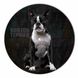 Vinyl Record Decor Boston Terrier 12" UF-Decor-Boston Terrier-1 photo 1