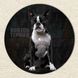 Vinyl Record Decor Boston Terrier 12" UF-Decor-Boston Terrier-1 photo 3