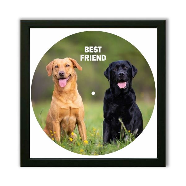 Vinyl Record Decor in a Wooden Frame Labrador 14" UF-Frame-Labrador-1 photo