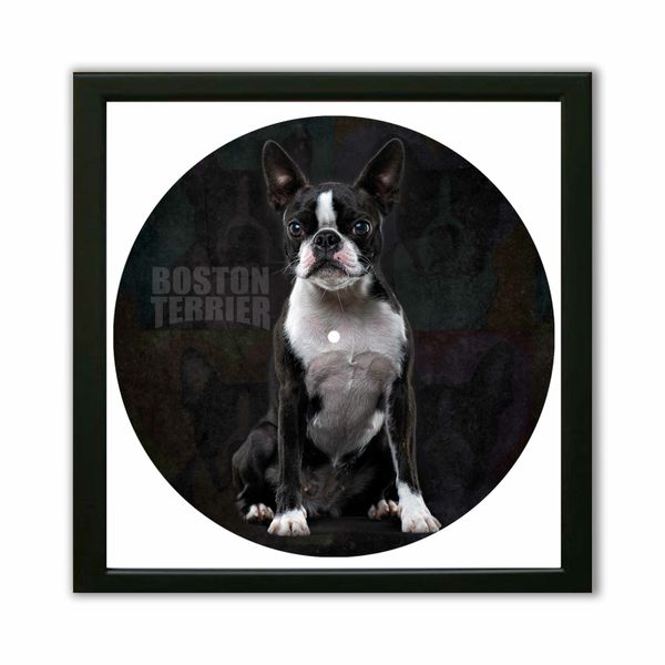 Vinyl Record Decor in a Wooden Frame Boston Terrier 14" UF-Frame-Boston Terrier-1 photo