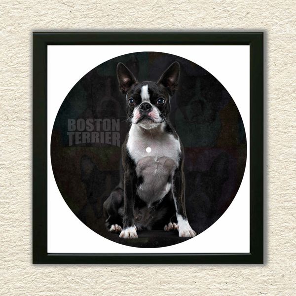 Vinyl Record Decor in a Wooden Frame Boston Terrier 14" UF-Frame-Boston Terrier-1 photo