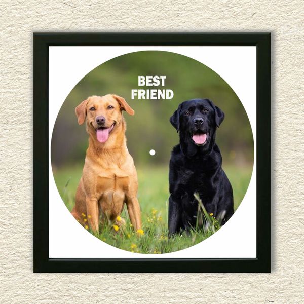 Vinyl Record Decor in a Wooden Frame Labrador 14" UF-Frame-Labrador-1 photo