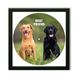 Vinyl Record Decor in a Wooden Frame Labrador 14" UF-Frame-Labrador-1 photo 1