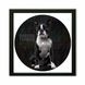 Vinyl Record Decor in a Wooden Frame Boston Terrier 14" UF-Frame-Boston Terrier-1 photo 1