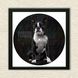 Vinyl Record Decor in a Wooden Frame Boston Terrier 14" UF-Frame-Boston Terrier-1 photo 3