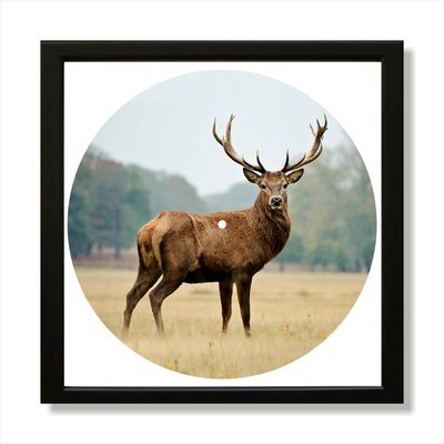 Vinyl Record Decor in a Wooden Frame Deer 14" UF-Frame-Deer-1 photo