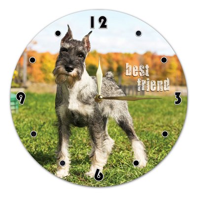 Wall Vinyl Record Clock Miniature Schnauze 12" UF-Clock-Miniature Schnauze-1 photo