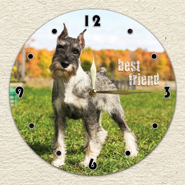 Wall Vinyl Record Clock Miniature Schnauze 12" UF-Clock-Miniature Schnauze-1 photo