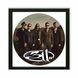 Vinyl Record Decor in a Wooden Frame 311 band 14" UF-Frame-311 band-2 photo