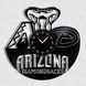 Настінний вініловий годинник Аризона Даймондбекс, діаметр 30см Vinyl-Clock-Arizona Diamondbacks-1 фото 1