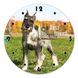 Wall Vinyl Record Clock Miniature Schnauze 12" UF-Clock-Miniature Schnauze-1 photo 1