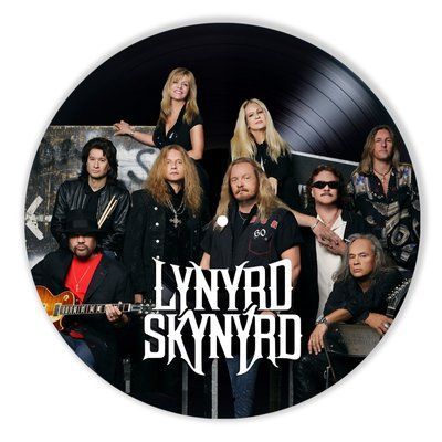 Vinyl Record Decor Lynyrd Skynyrd 12" 553-3-1 photo