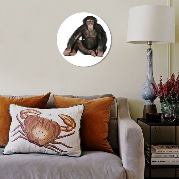 Vinyl Record Decor Monkey 12" 81-3-1 photo