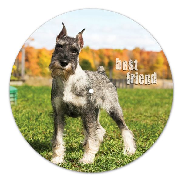 Vinyl Record Decor Miniature Schnauze 12" UF-Decor-Miniature Schnauze-1 photo