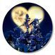 Vinyl Record Decor Kingdom Hearts 12" 259-3-3 photo