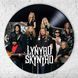 Vinyl Record Decor Lynyrd Skynyrd 12" 553-3-1 photo 3