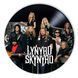 Vinyl Record Decor Lynyrd Skynyrd 12" 553-3-1 photo 1