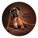 Vinyl Record Decor Boxer 12" UF-Decor-Boxer -1 photo 1