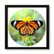 Vinyl Record Decor in a Wooden Frame Butterfly 14" UF-Frame-Butterfly-2 photo 1