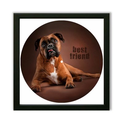 Vinyl Record Decor in a Wooden Frame Boxer 14" UF-Frame-Boxer -1 photo