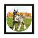 Vinyl Record Decor in a Wooden Frame Miniature Schnauze 14" UF-Frame-Miniature Schnauze-1 photo 1