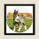 Vinyl Record Decor in a Wooden Frame Miniature Schnauze 14" UF-Frame-Miniature Schnauze-1 photo 3