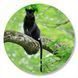 Vinyl Record Decor Panther 12" 83-3-1 photo 1