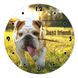 Wall Vinyl Record Clock Bulldogs 12" UF-Clock-Bulldogs-1 photo 1