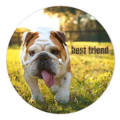 Vinyl Record Decor Bulldogs 12" UF-Decor-Bulldogs-1 photo