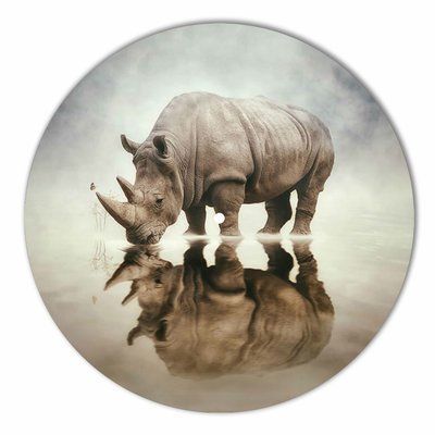 Vinyl Record Decor Rhino 12" 84-3-1 photo
