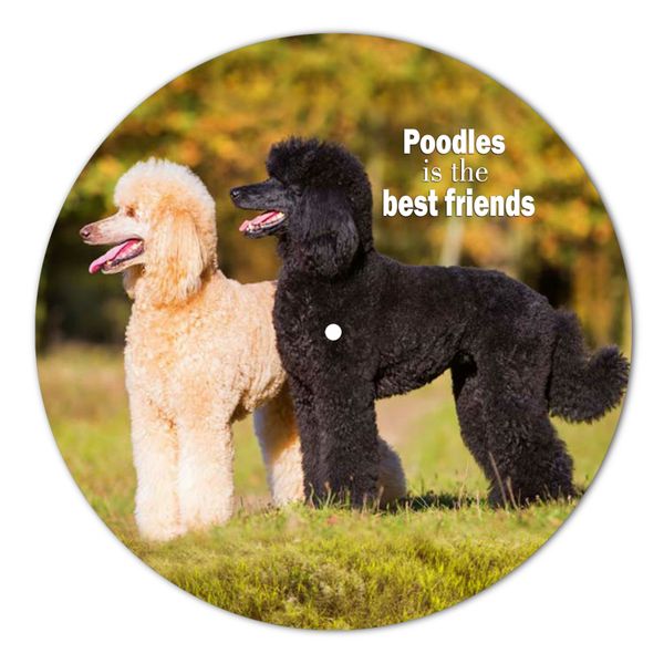 Vinyl Record Decor Poodle 12" UF-Decor-Poodle-1 photo