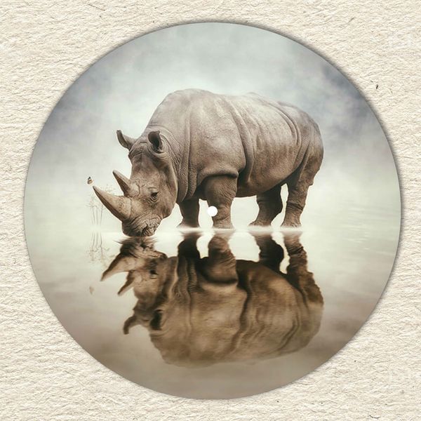 Vinyl Record Decor Rhino 12" 84-3-1 photo