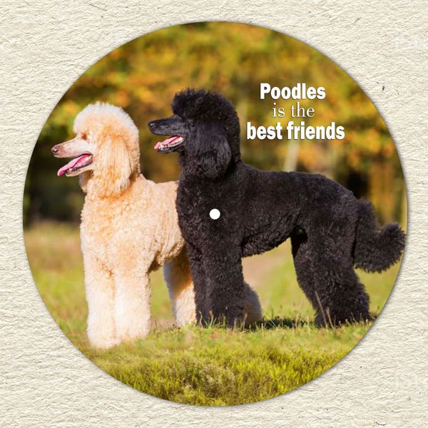 Vinyl Record Decor Poodle 12" UF-Decor-Poodle-1 photo