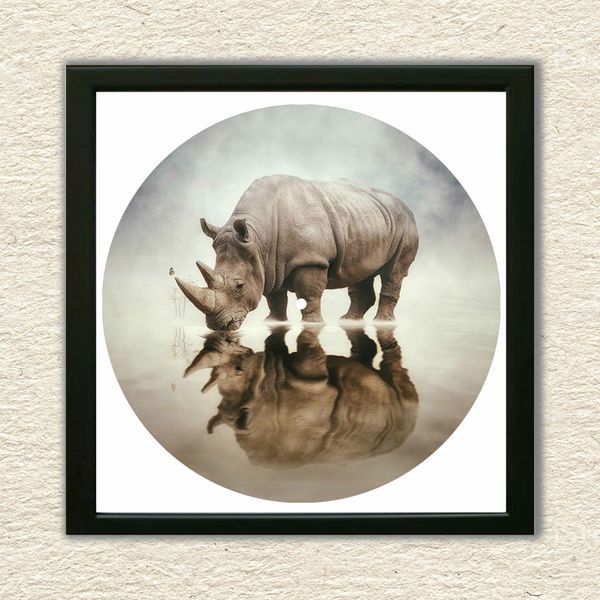 Vinyl Record Decor in a Wooden Frame Rhino 14" 84-4-1 photo