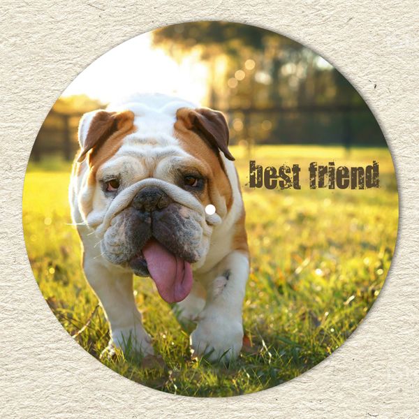 Vinyl Record Decor Bulldogs 12" UF-Decor-Bulldogs-1 photo