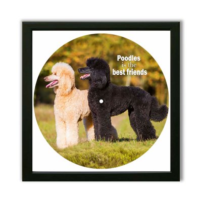 Vinyl Record Decor in a Wooden Frame Poodle 14" UF-Frame-Poodle-1 photo