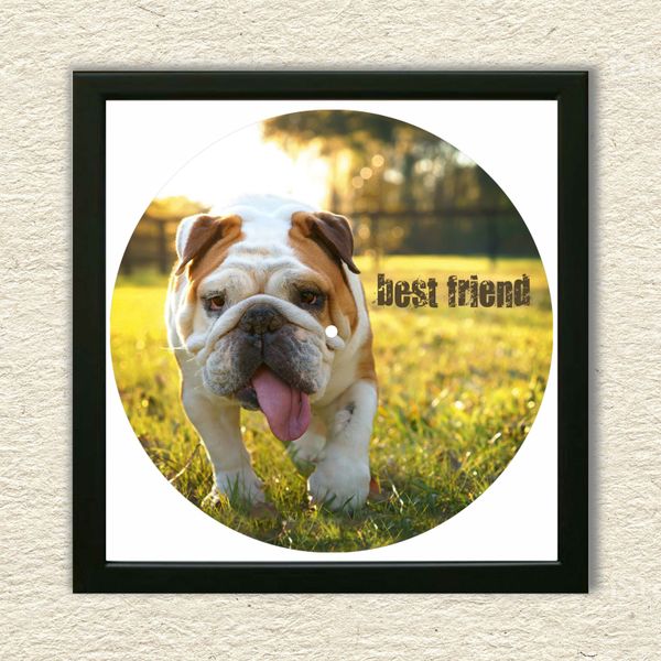 Vinyl Record Decor in a Wooden Frame Bulldogs 14" UF-Frame-Bulldogs-1 photo