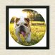 Vinyl Record Decor in a Wooden Frame Bulldogs 14" UF-Frame-Bulldogs-1 photo 3