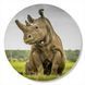 Vinyl Record Decor Rhino 12" 84-3-2 photo