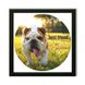 Vinyl Record Decor in a Wooden Frame Bulldogs 14" UF-Frame-Bulldogs-1 photo 1