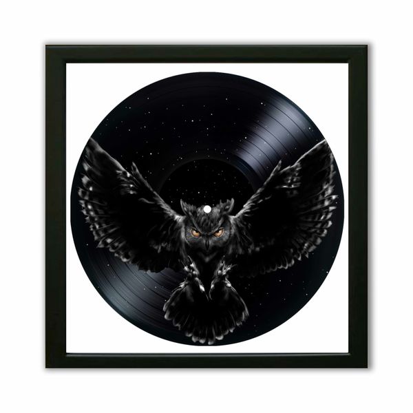 Vinyl Record Decor in a Wooden Frame Owl 14" UF-Frame-Owl-1 photo