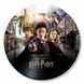 Vinyl Record Decor Harry Potter 12" 736-3-2 photo