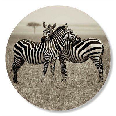 Vinyl Record Decor Zebra 12" 86-3-1 photo