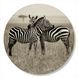 Vinyl Record Decor Zebra 12" 86-3-1 photo 1